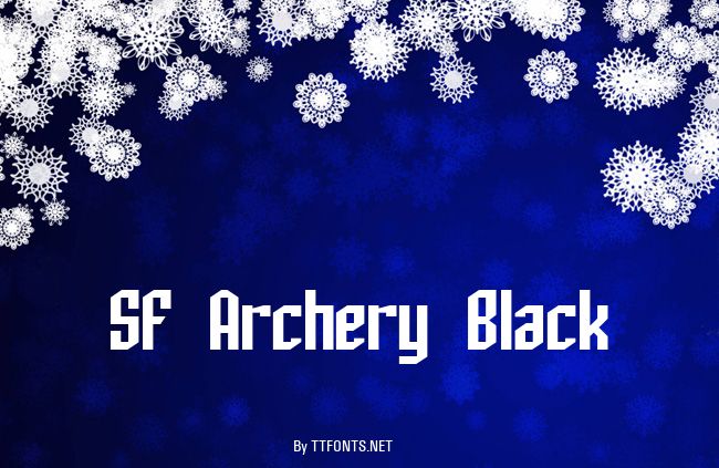 SF Archery Black example
